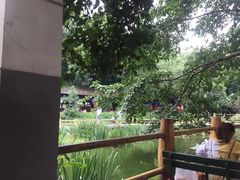 -古真记钵钵鸡(老公园店)