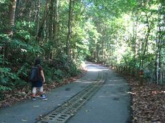 -武吉知马自然保护区