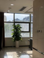 -雍禾植发