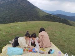 -大姆山草场