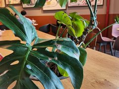 -Wagas沃歌斯(汇智店)