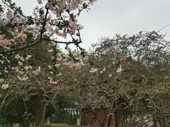 -后襄河公园