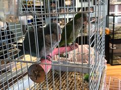 -藦茜花园宠物主题亲子互动体验馆(国顺东路店)