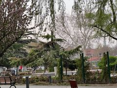 -睦南公园