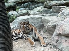 -北京野生动物园