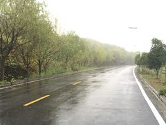 -羊山湖公园