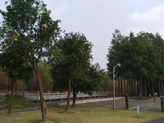 -上海月湖雕塑公园