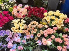 -循礼门鲜花花市(武汉循礼门店)