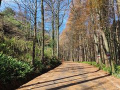 -山王坪喀斯特国家生态公园