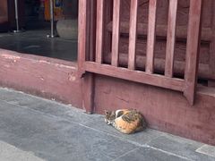 -西园戒幢律寺