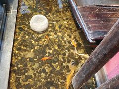 -颐和•海鲜砂锅粥•啫啫煲(奥林匹克广场店)