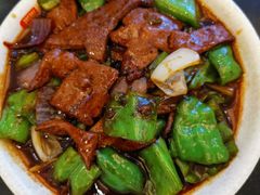 -蔡先生(双阳路店)