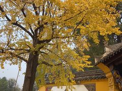 -成都市文殊院