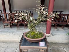 -豫园