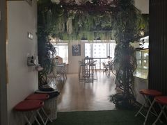 -Husky Go! 哈士奇体验馆·宠物咖啡厅狗咖