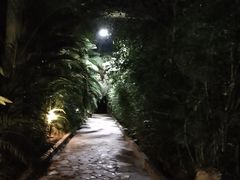 -龙达温泉生态城