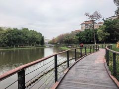 -映月湖公园