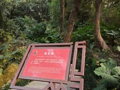 -乌山风景区