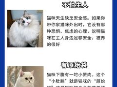 -爱侣宠医·鹦鹉专科·小型哺乳类·异宠专科(灵石路店)