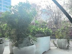 -甜阿姨·天台花园私房菜(万松园店)