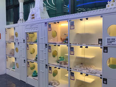 -小猫来了·猫舍(红山六九七九店)