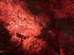 -龟山风景区-龟山电视塔