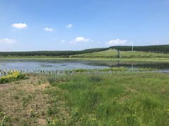 -塞罕坝国家级自然保护区