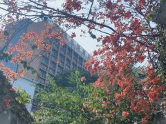 -蓉新商务酒店(华西医院武侯祠店)