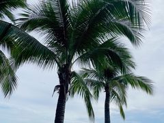 -三亚南山文化旅游区