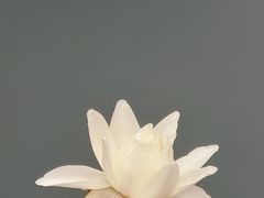 -无锡梅园公园