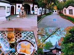 -上海共青森林公园