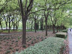 -东怡大酒店(上海科技馆店)