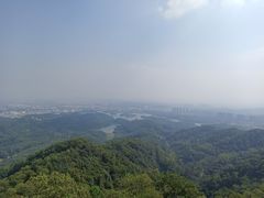 -大屏嶂森林公园