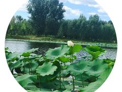 -东郊湿地公园