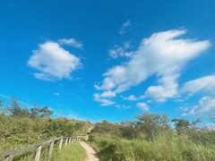 -高ボッチ高原