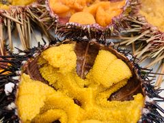 -海胆小馆(东北水饺·春柳店)