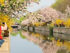 -海棠花溪(元大都城垣遗址公园)