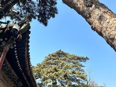 -潭柘寺景区