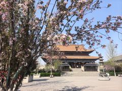 -大悲禅寺