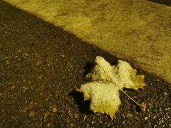 -北京园博大酒店