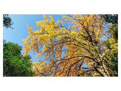 -常州古运河南大街文化旅游区-人民公园