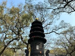 -普陀山风景名胜区-法雨禅寺