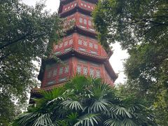 -房湖公园
