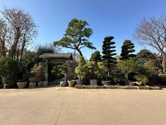 -龙大花卉苗木市场