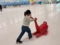 -世界之窗阿尔卑斯冰雪世界