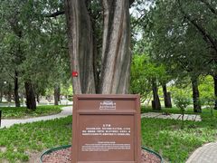 -北京市劳动人民文化宫(太庙)