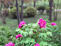 -木塔寺遗址生态公园