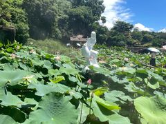 -广州莲花山旅游区