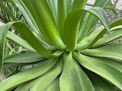 -南山植物园