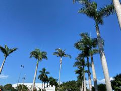 -观澜湖生态运动公社